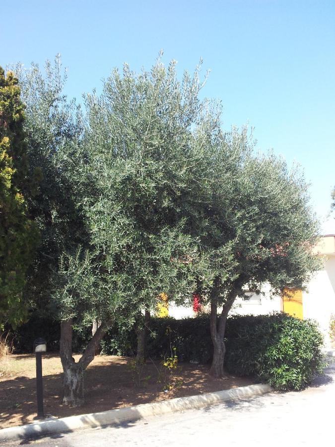 Hotel Giardino Modugno Extérieur photo