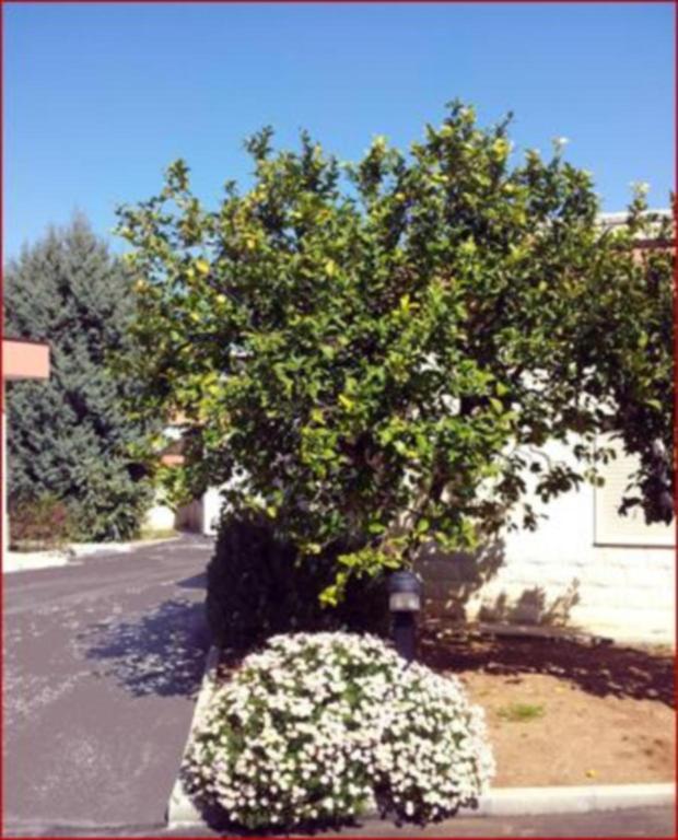 Hotel Giardino Modugno Extérieur photo